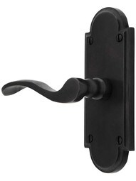 Solid Bronze Arched-Plate Door Set with Chester Levers.